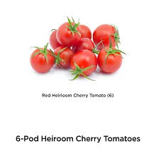 AeroGarden Red Heirloom Cherry Tomato Seed Pod Kit image number null