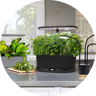 Two AeroGardens and a 3 light Grow Light sitting on a kitchen island.
