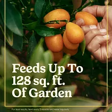 Miracle-Gro&reg; Shake 'N Feed&reg; Tomato, Fruit & Vegetable Plant Food image number null