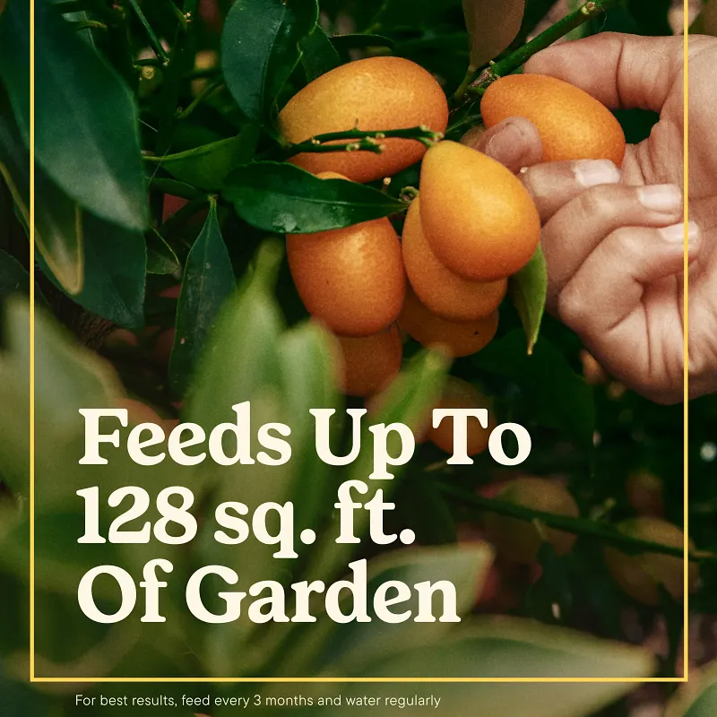 Miracle-Gro&reg; Shake 'N Feed&reg; Tomato, Fruit & Vegetable Plant Food image number 3.0