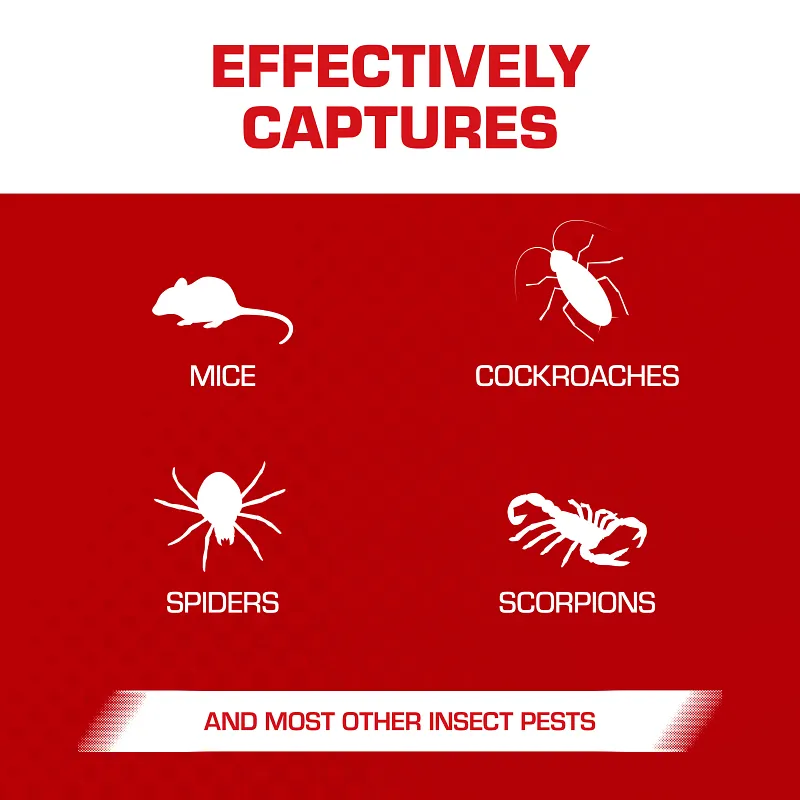 Tomcat Glue Traps Mouse Size with Eugenol for Enhanced Stickiness, 6 Traps image number 4.0