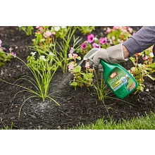 Ortho&reg; Grass B Gon Garden Grass Killer image number null