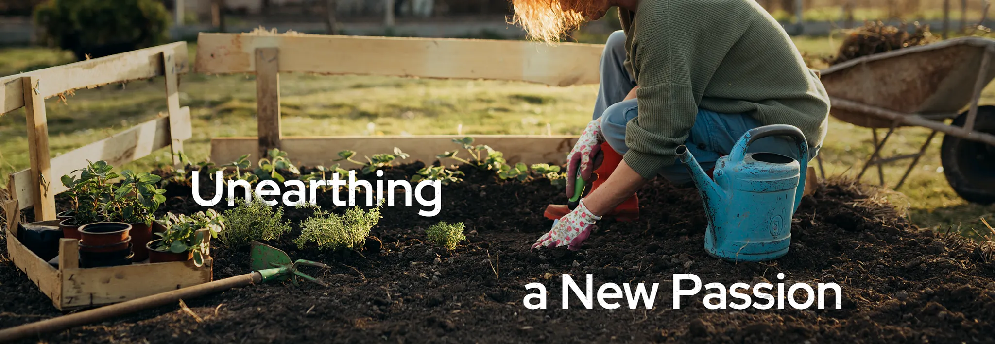 unearthing a new passion