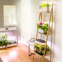 Bamboo Garden Wall Shelf image number null