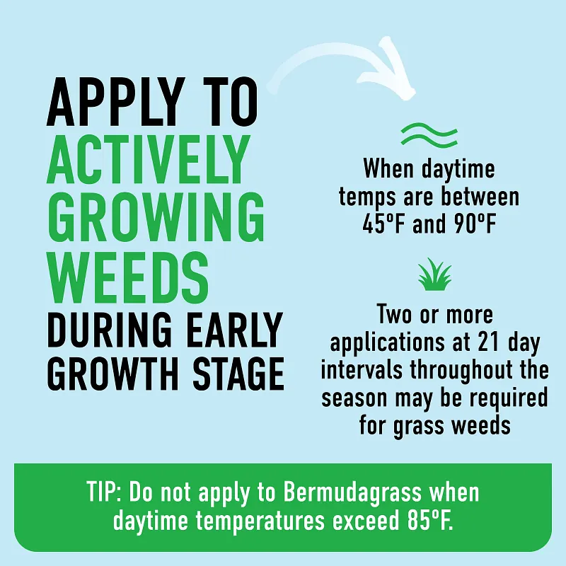 Roundup For Lawns₁ Ready-To-Use with Extend Wand image number 6.0
