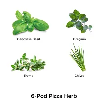 AeroGarden Pizza Herb Seed Pod Kit image number null