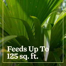 Miracle-Gro&reg; Shake 'N Feed Palm Plant Food image number null