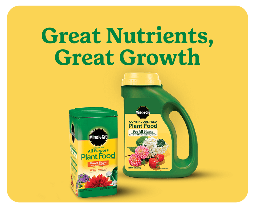 miracle gro outdoor plant food product lineup