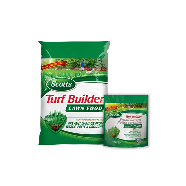 les membres d'une communaut&eacute; plantent dans le jardin