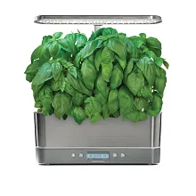 AeroGarden Pesto Basil Seed Pod Kit image number null