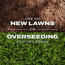 Scotts&reg; Turf Builder&reg; Rapid Grass&trade; Bermudagrass image number null