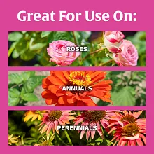 Scotts&reg; Rose & Bloom Continuous Release Plant Food image number null