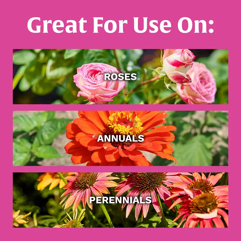 Scotts&reg; Rose & Bloom Continuous Release Plant Food image number 4.0