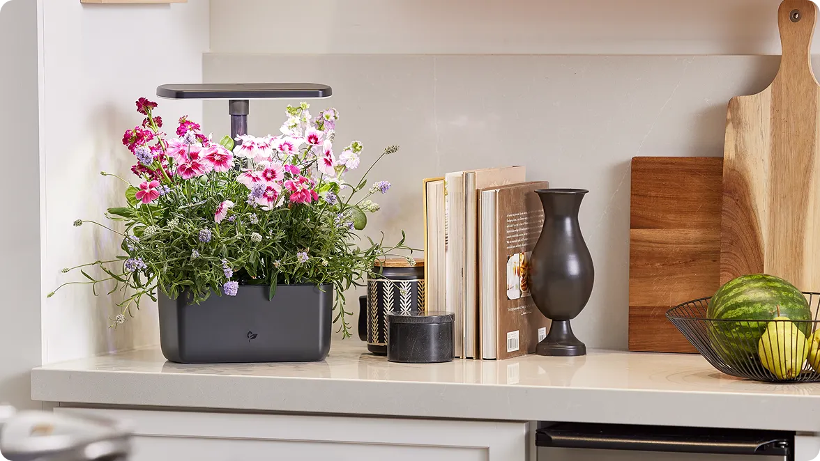 A kitchen countertop with an Aerogarden with blooming flowers growing in it, sitting next to some books, candles , wooden cutting boards and a fruit bowl also sitting on the counter.
