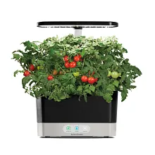 AeroGarden Red Heirloom Cherry Tomato Seed Pod Kit image number null