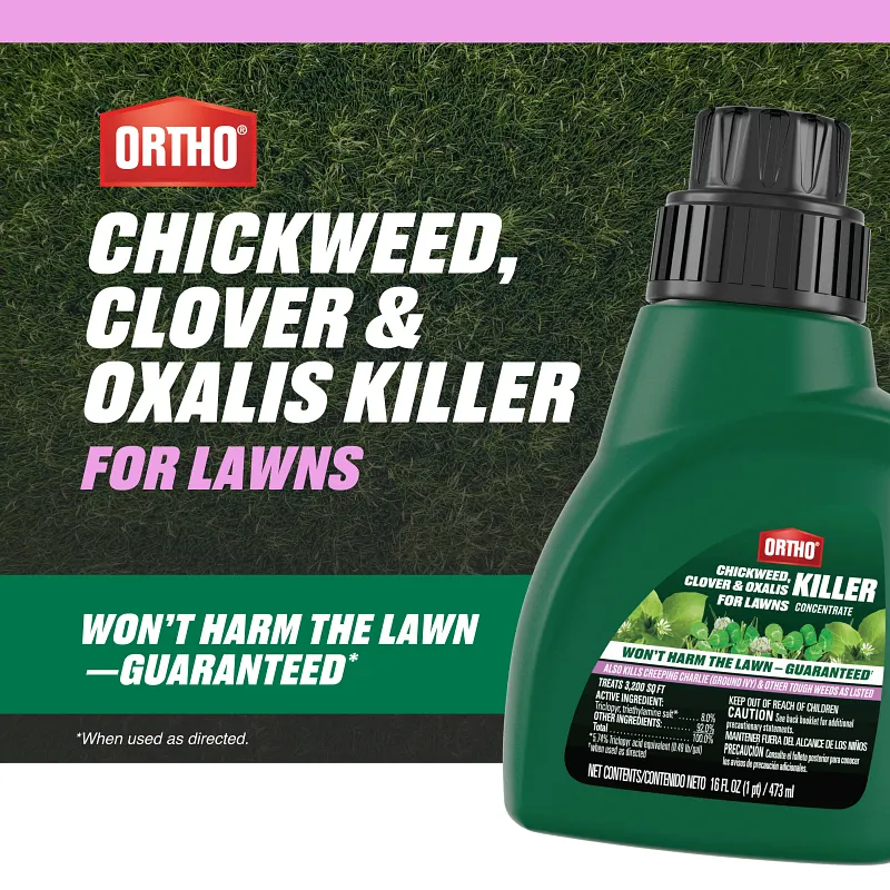 Ortho Chickweed, Clover & Oxalis Killer for Lawns Concentrate image number 2.0