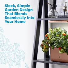 AeroGarden Harvest Lite, Mocha image number null