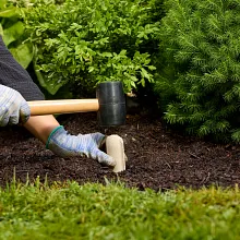 Evergreen Fertilizer Spikes image number null