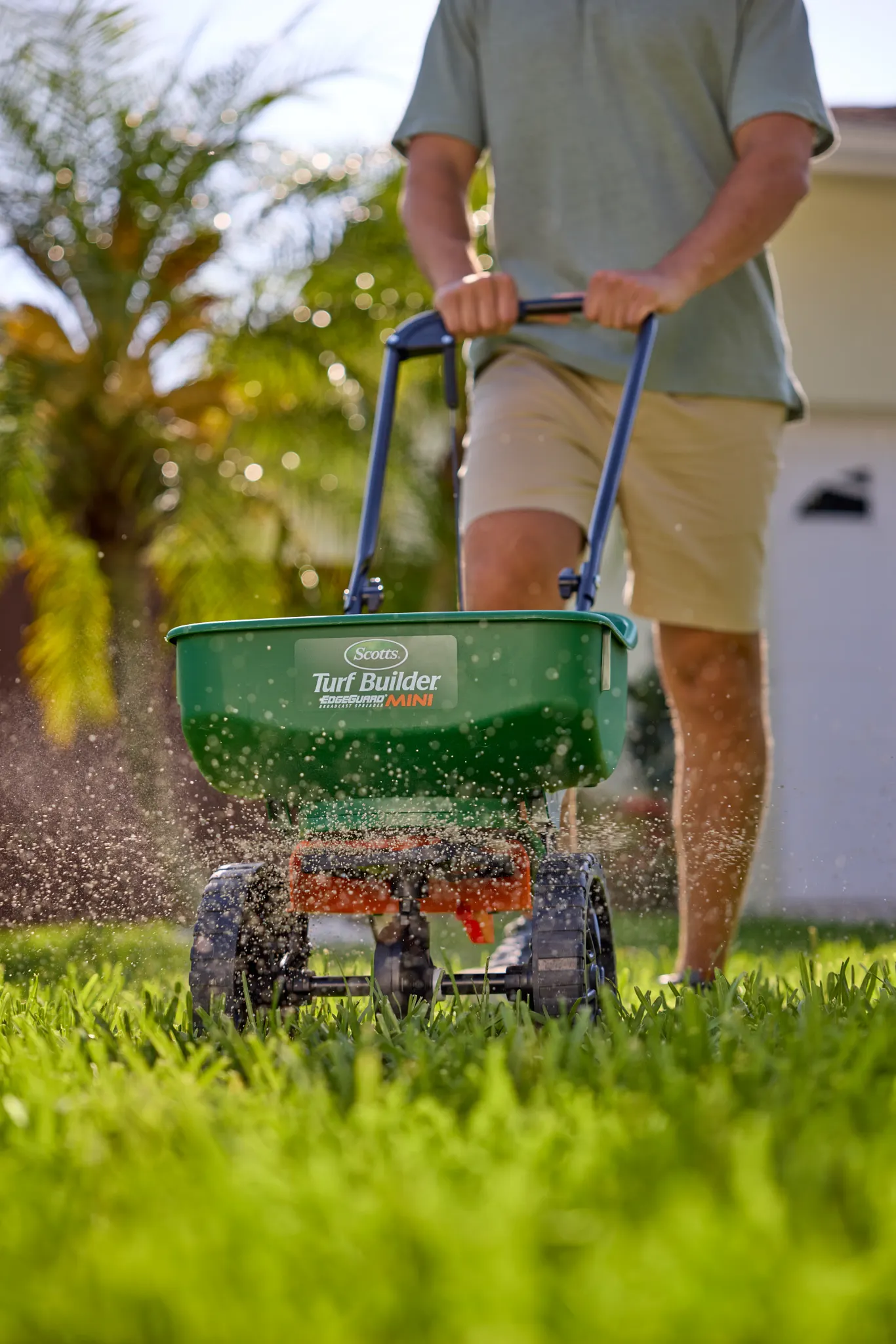 Feeding a lawn with a Scotts Mini broadcast spreader