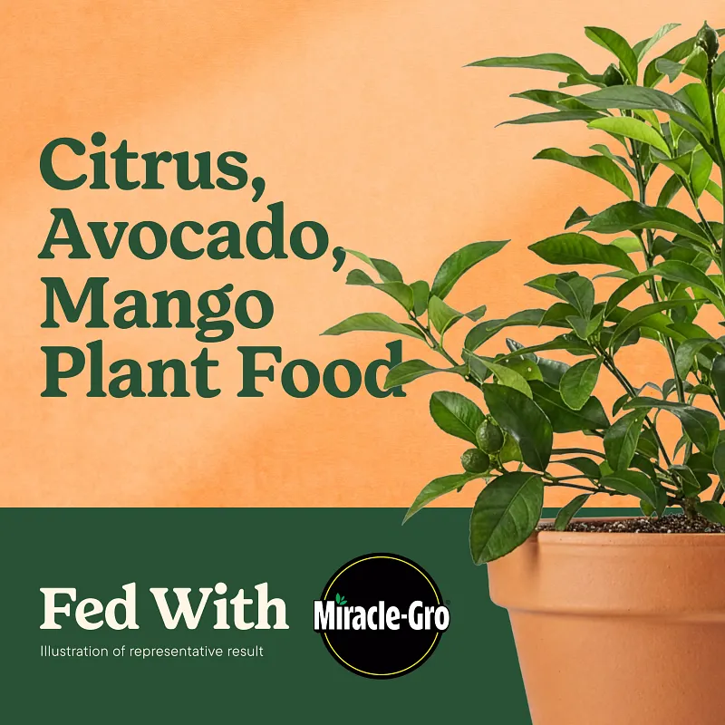 Miracle-Gro&reg; Citrus, Avocado, & Mango Food image number 2.0