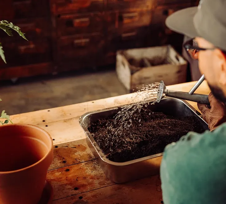 Person watering soil with a watering can.