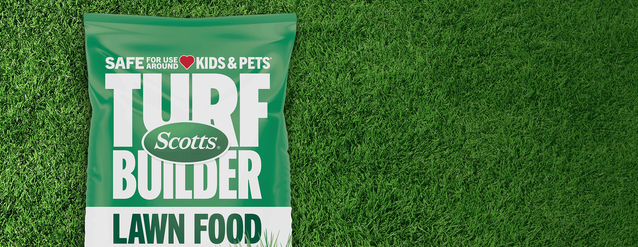 Scotts Turf Builder Lawn Food on a background of lush grass