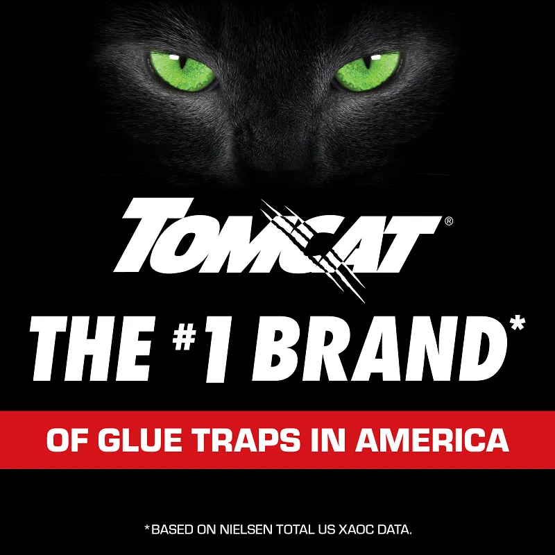 Tomcat&reg; Glue Traps Rat Size with Eugenol for Enhanced Stickiness Image 10