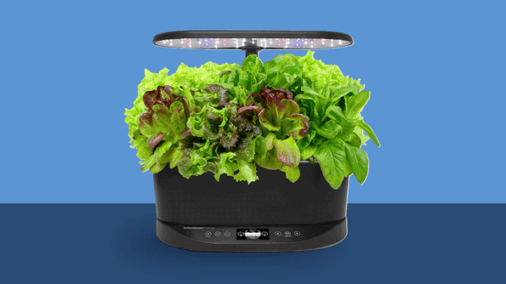 Multiple aerogardens switching out 