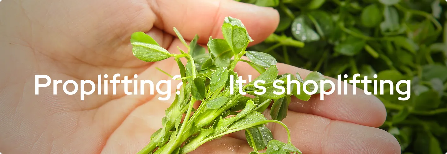 Proplifting its shoplifting