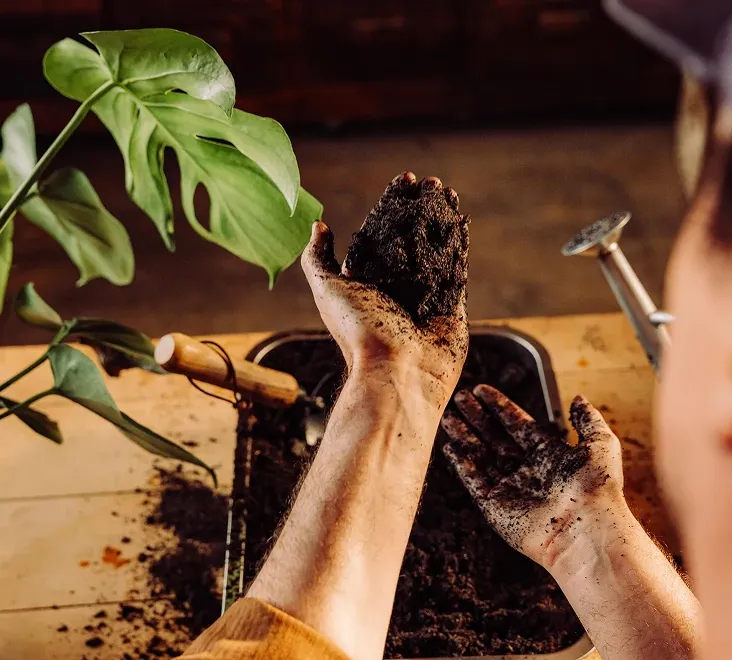Person with soil in their hands