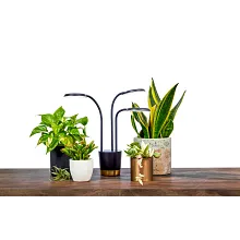 AeroGarden Trio Grow Light image number null