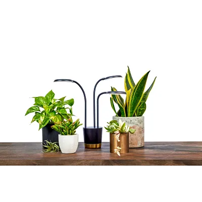 AeroGarden Trio Grow Light