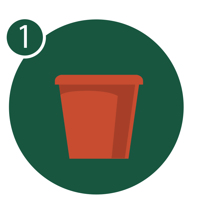 gif of planting seed starting