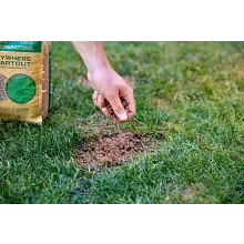 Scotts&reg; EZ Seed&reg; Patch & Repair image number null