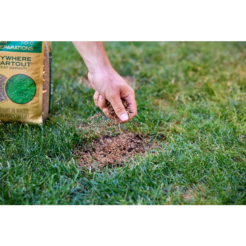 Scotts&reg; EZ Seed&reg; Patch & Repair image number 5.0