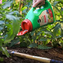 Miracle-Gro&reg; Shake N Feed Tomato, Fruits & Vegetables Plant Food image number null