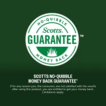 Scotts Kentucky 31 Grass Seed Mix image number null