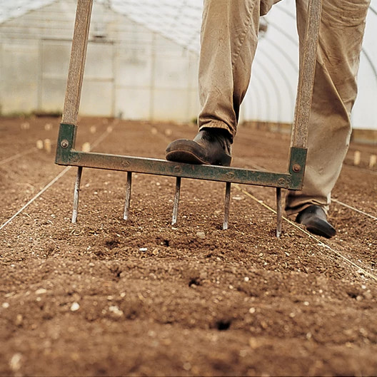 Aerating soil with an old fashion broad fork