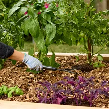 Nature Scapes&reg; Colour Enhanced Mulch - Natural image number null