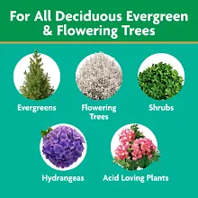Miracle-Gro&reg; Tree & Shrub Plant Food Spikes Image 3
