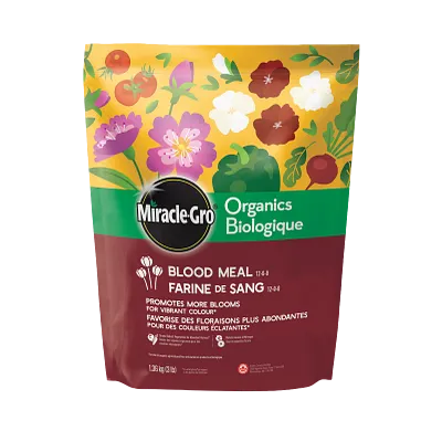 Farine de sang biologique