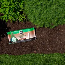 Evergreen Fertilizer Spikes image number null