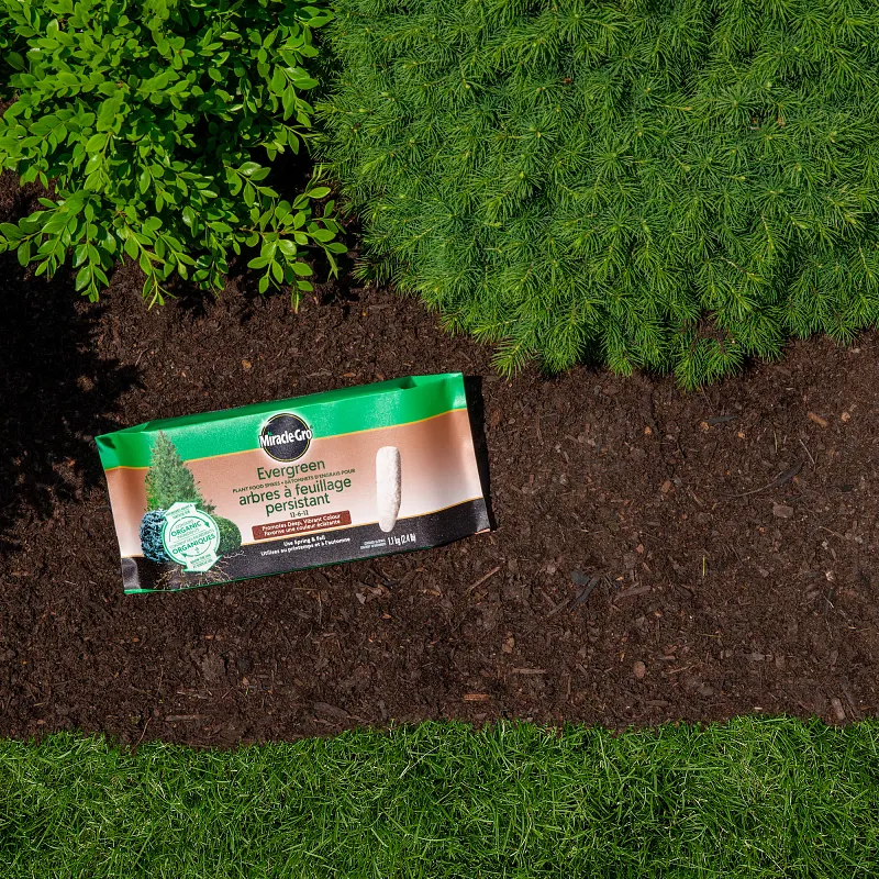 Evergreen Fertilizer Spikes image number 3.0