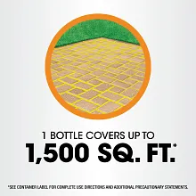 Roundup&reg; Poison Ivy Plus Tough Brush Killer₂ Concentrate image number null