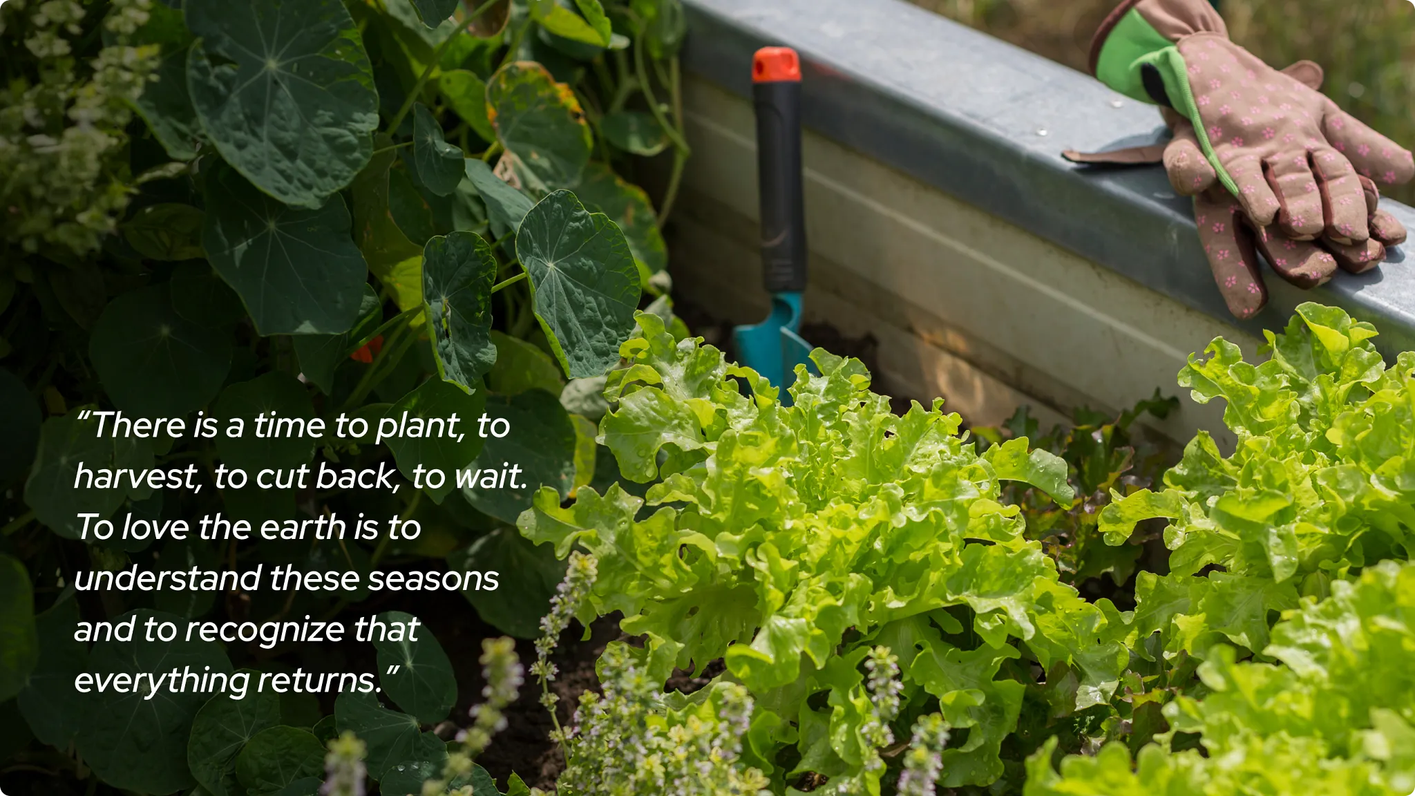 Quote in gardening