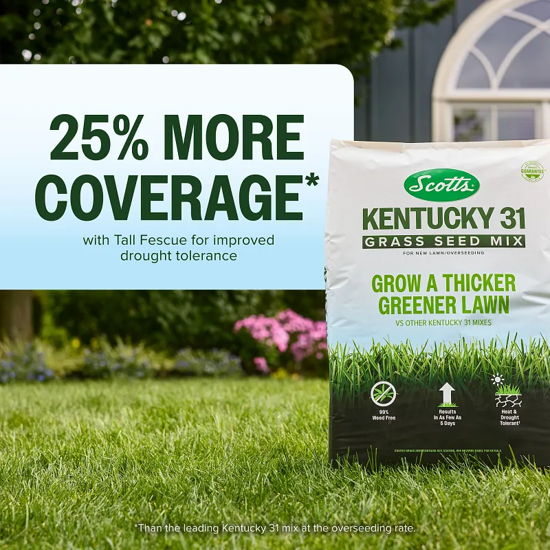 Scotts Kentucky 31 Grass Seed Mix image number 7.0