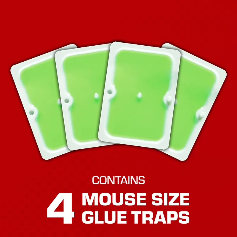 Tomcat&reg; Super Hold Glue Traps Mouse Size Image 2