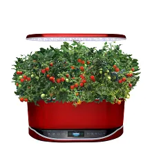 AeroGarden Mighty Mini Cherry Tomato Seed Pod Kit image number null