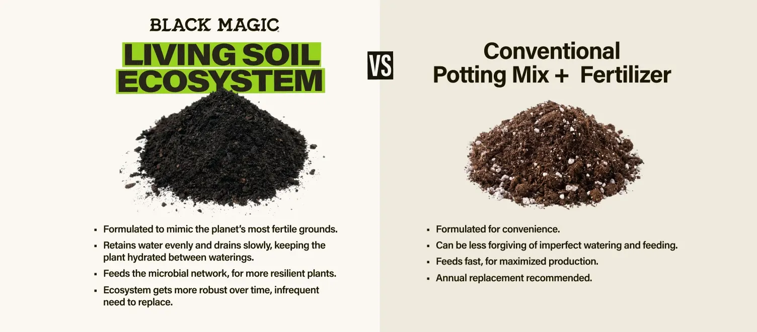 Black Magic living soil ecosystem vs. conventional potting mix + fertilizer | Living Soil Ecosystem - Formulated to mimic the planets most fertile grounds, retains water evenly and drains slowly, feeds the microbial network, ecosystem gets more robust over time | Conventional Potting Mix: - Formulated for convenience, can be less forgiving of imperfect watering and feeding, feeds fast for maximized production, annual replacement recommended.
