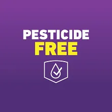 Ortho&reg; Home Defense&reg; MAX&reg; Bed Bug Trap image number null
